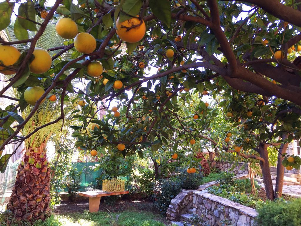 Villa Tricia Κάννες Δωμάτιο φωτογραφία